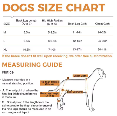 Harnais de genou pour chiens™