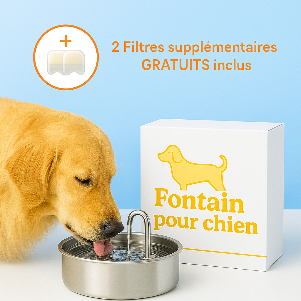 La fontaine pour chiens™