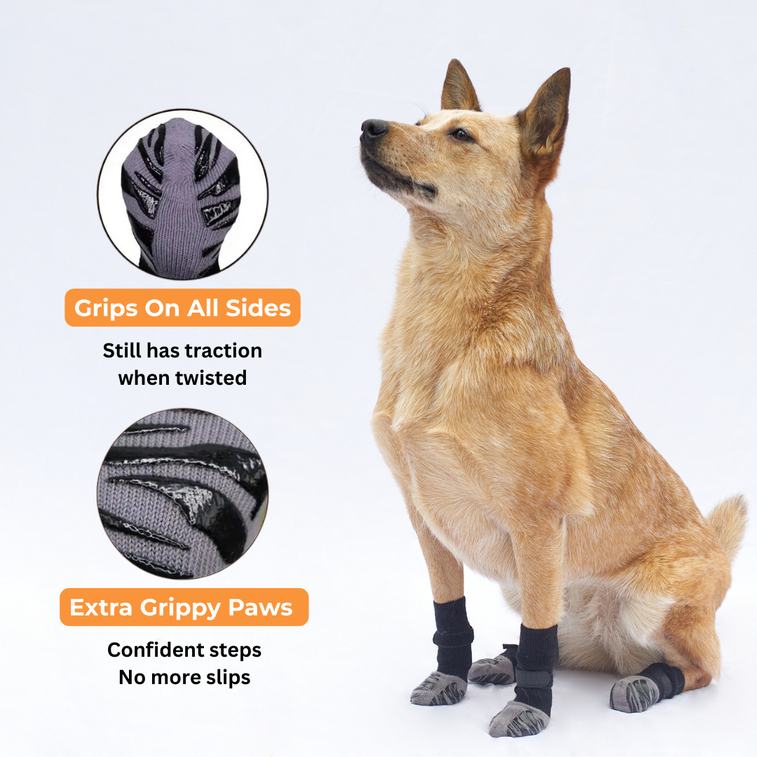 Chaussettes antidérapantes – Stabilité et confort pour votre chien