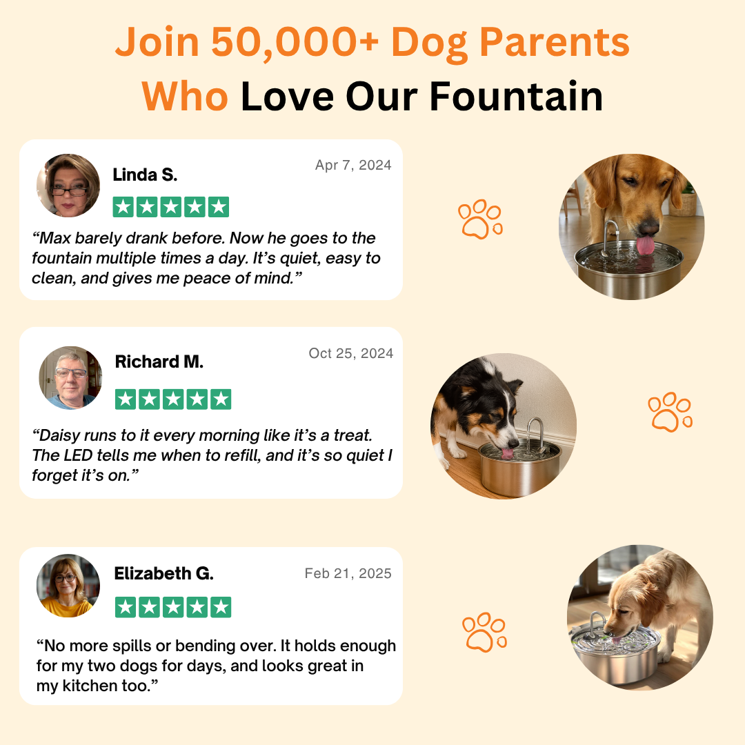 La fontaine pour chiens™