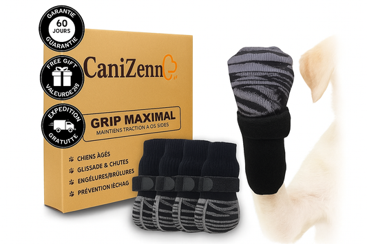 Chaussettes antidérapantes – Stabilité et confort pour votre chien