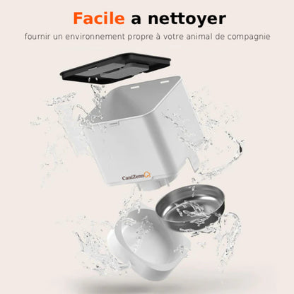 Distributeur automatique de nourriture pour chien