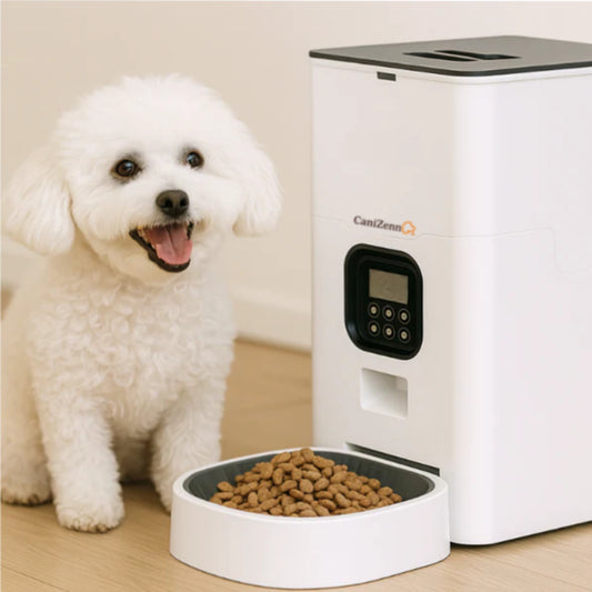 Distributeur automatique de nourriture pour chien