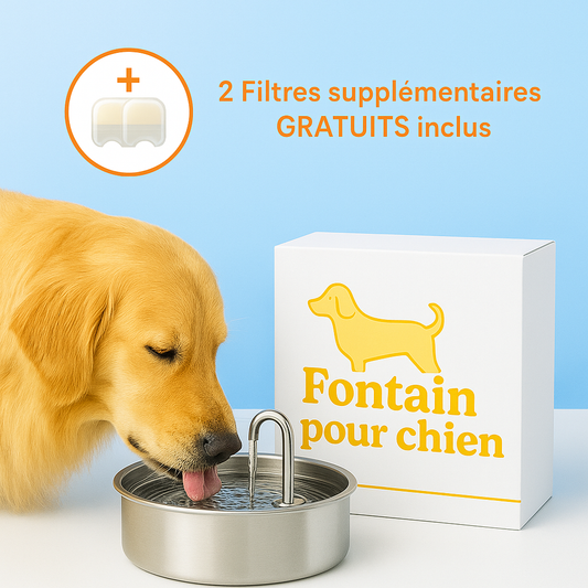La fontaine pour chiens™