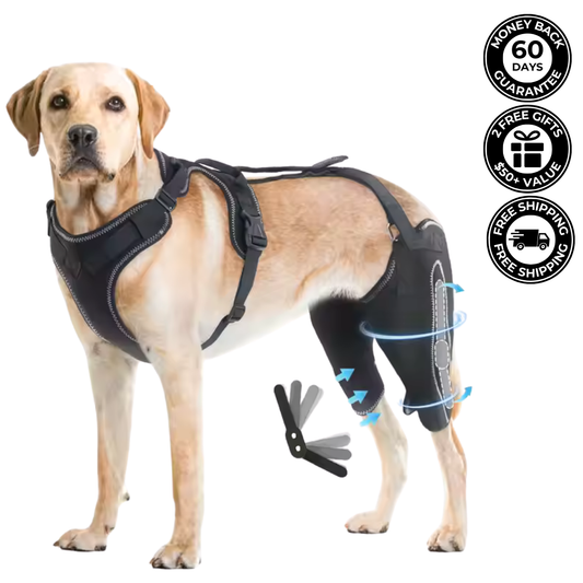 Harnais de genou pour chiens™